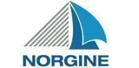 Norgine logotipo